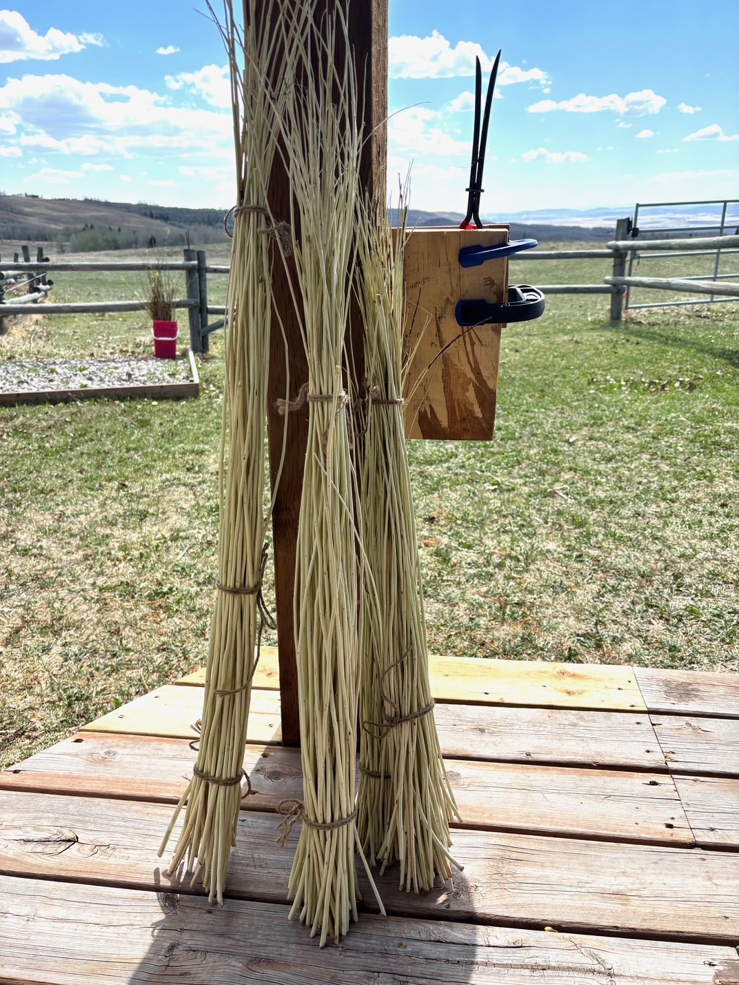 3 tools for stripping willow