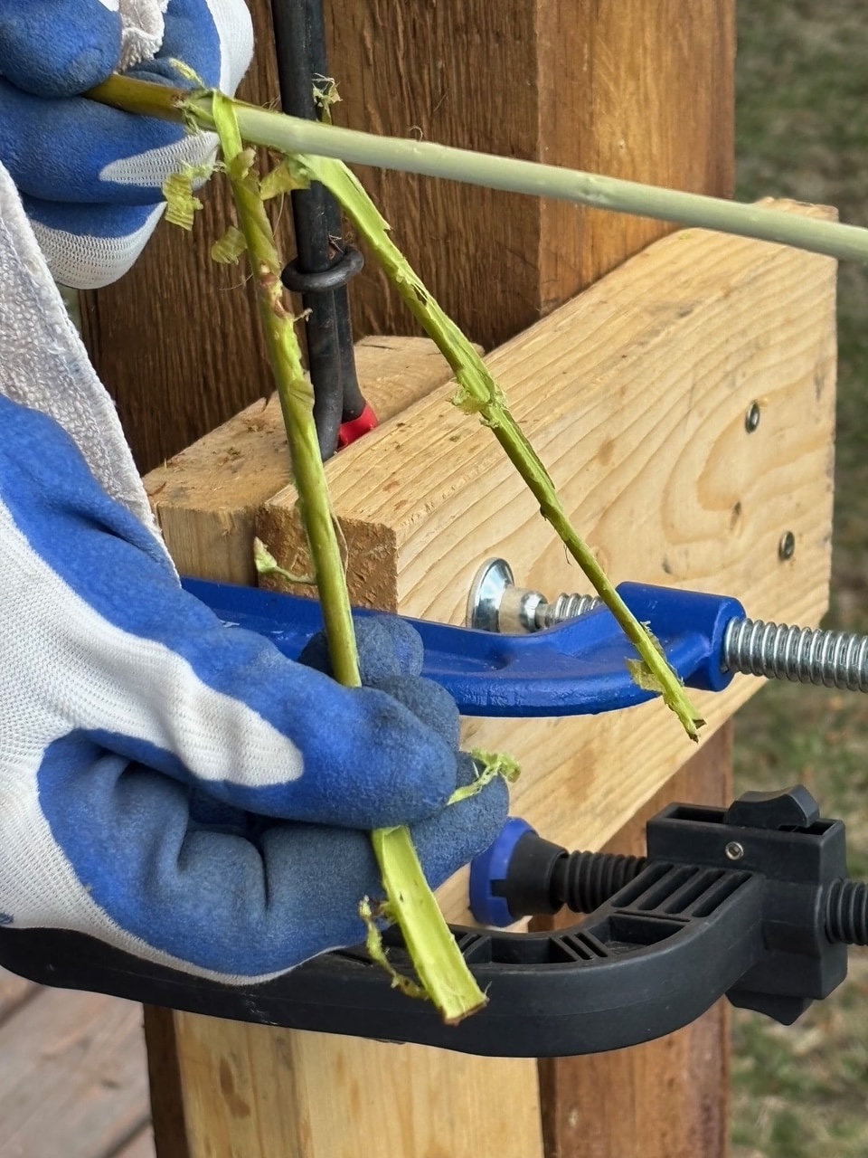 3 tools for stripping willow